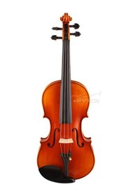 Resim Lea 55Sfl Profesyonel Keman 