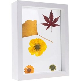 Resim Geeroyoo Vintage Kurutulmuş Çiçek Yaprak Örnekli Ahşap Gölge Kutusu - Gerçek Cam Dekor Beyaz 
