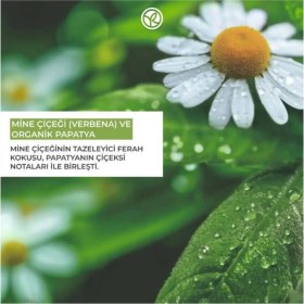 Resim Yves Rocher El Kremi - Nemlendirici & Besleyici - Mine Çiçeği ve Papatya Özlü Vegan 30 ml 