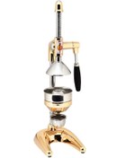 Resim Maskot M-ksg Gold Sanayi Tipi Meyve Presi 