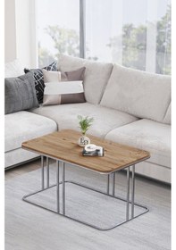 Resim Lyon Orta Sehpa Gümüş Metal - Atlantik Çam Tabla 