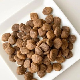 Resim Reflex Plus Biftekli High Energy Yetişkin Köpek Maması 3 Kg 