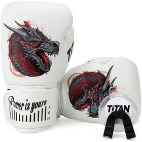 Resim Titan Sport Ejderha Desenli Setli Fgr Model-11 Boks Eldiveni Çok Renkli 