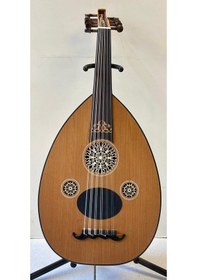 Resim Profesyonel Kelebek Ud 