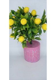 Resim Yapay Limon Ağacı Pembe Çatlatma 