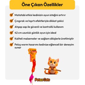 Resim PetzzCats Worm Matatabi ve Çıngırak Sesli Kedi Oltası Oyuncağı Turuncu 42 Cm 