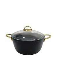 Resim Vivaldi Hitit Gold Tıtanıum 26 Cm / 5,5 Lt. Tencere Çok Renkli 