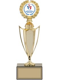 Resim Seftil GN220B Başarı & Ödül Kupası 30 cm 