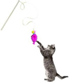 Resim Everypet Ekonomik Kısa Saplı Kedi Oyun Oltası 