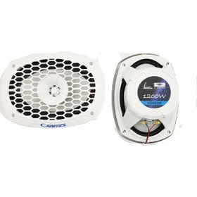 Resim Cadence Marine Hoparlör + Tweeter Marine Horn 6x9 '' Oval 
