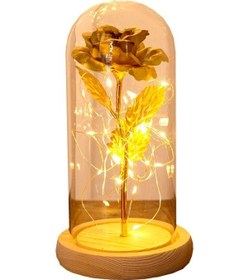 Resim Novahub 24k Altın Varaklı Cam Kavanoz - Gül Dekoru, Hediye, Ev Dekorasyonu, Dayanıklı Ve Şık 