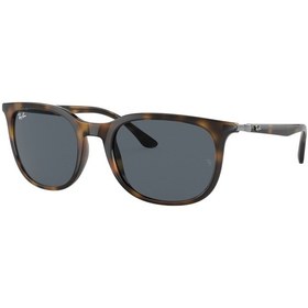 Resim RAY-BAN 4386 710/R5 54 UNİSEX GÜNEŞ GÖZLÜĞÜ 
