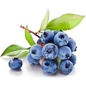 Resim 15 Adet Tohum Yaban Mersini Tohumu Blueberry Tohum 