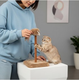 Resim Lady Fify Kedi ve Köpek için Ses Çıkaran Oyuncaklı ve Dayanıklı Kedi Tırmalama Tahtası 