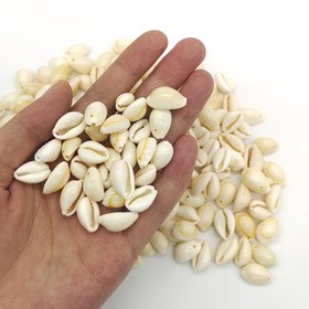Resim 50 Parça Doğal Malzeme Kendin Yap Takı Yapım Kiti, Delikli Deniz Kabuğu, Ev Dekorasyonu, Reçine Dolumu ve Daha Fazlası İçin Çok Yönlü 