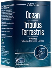 Resim Ocean Tribulus Terrestris 500 MG 60 Kapsül 