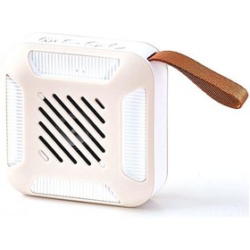 Resim Teltree G5 Su Geçirmez Bluetooth Hoparlör - Taşınabilir, Süper Süre Çalma, Mikrofonlu , Dışarıda/aile Toplantılarında, Cilt Rengi 