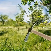 Resim Bahçede Ot Ayıklama, Kazma ve Bitki Dikimi İçin Ahşap Saplı Bahçe Çapası - Dayanıklı El Çapası 