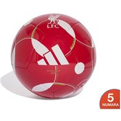 Resim Adidas Lfc Clb Home Futbol Topu Jy6164 Kırmızı Kırmızı 