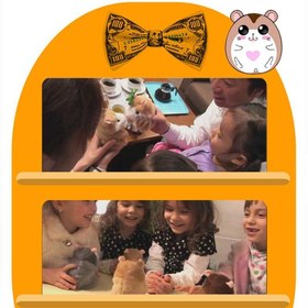 Resim 15CM Little Talking Hamster Toy - Gray / 3 