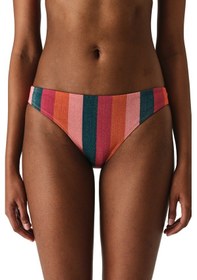 Resim Penti Renkli Devin Slip Bikini Altı 