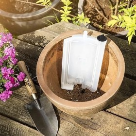 Resim Plantpal Otomatik, Su Sebili Sulama Yardımcısı, Sulama Sistemi, 550 Ml, 5 x 13,5 x 24 Cm, 07063, Şeffaf 