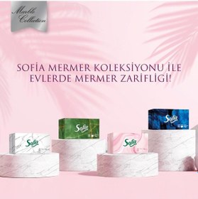 Resim Sofia Kutu Mendil 100 Yaprak 24 Paket 