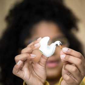 Resim Schleich Kuğu 13921 