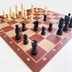 Resim Pressman Premium Classics: Satranç 