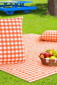Resim AfgTech Piknik Seti 170x170cm Piti Kareli Piknik Örtüsü, 40x40cm 2 Adet Minder Turuncu 