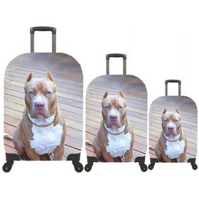 Resim My 87 Pitbull Valizler İçin Kılıf Seti Kabin Orta Ve Büyük Bej 