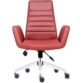 Resim Koltukstilim Vector Müdür Koltuğu Diğer 