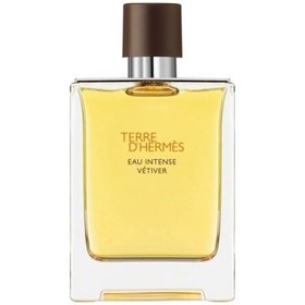 Resim Hermes Terre DHermes Eau Intense Vetiver Edp 100ml 