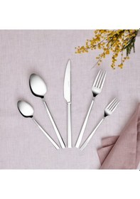 Resim Emsan Ege 60 Parça 12 Kişilik Çatal Kaşık Bıçak Takımı Lüks Kutulu 