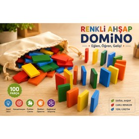 Resim TRUVA Eğitici Oyun Domino 100 Parça Ahşap 
