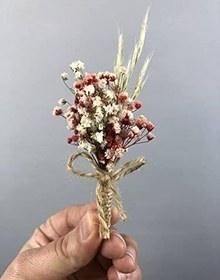 Resim Kırmızı Krem Cipsolu Damat Yaka Çiçeği 5 Adet 