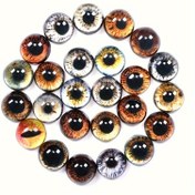 Resim 10/30 adet (5/15 Çift) Canlı Cam Gözler, Kendin Yap El Yapımı Hayvan Bebekleri, Kediler, Köpekler ve Dinozorlar için - El Sanatları ve Koleksiyon Eşyaları için Renkli Yuvarlak Gözler - Dayanıklı ve Gerçekçi Gözler 8/10/12/16Mm Boyutlarında 