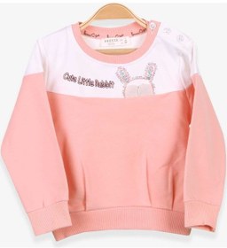 Resim Breeze Kız Çocuk Sweatshirt Tavşan Nakışlı 1-4 Yaş, Somon (541263491) 