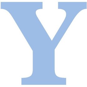 Resim Karton Harf Banner Mavi Y 