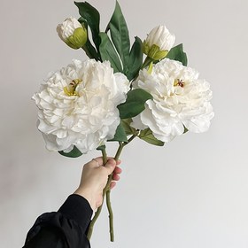 Resim 2 Adet Şakayık Yapay Vintage Büyük Uzun Saplı Bitki Dekorasyon Ev Dekoru Oturma Odası Yapay 