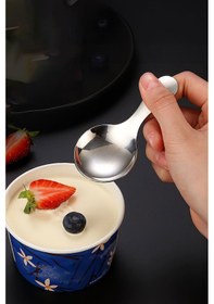 Resim 304 Çelik 12 Adet 9 Cm Mini Tatlı Dondurma Baharat Kaşığı Cin752by-12 Gri 