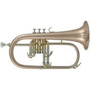 Resim Roy Benson FH-302G Flugelhorn 