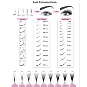 Resim Dolıty Kirpik Teknisyeni Formları Tarzı Salon Dekor Poster-c 