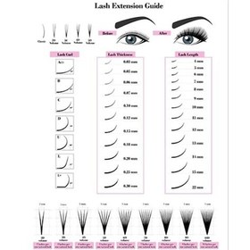 Resim Dolıty Kirpik Teknisyeni Formları Tarzı Salon Dekor Poster-c 