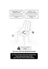 Resim Canisa Newa Serisi 4 Adet Krem Sandalye 1.sınıf Babyface Kumaş Gold Kaplama Metal Ayaklı Sandalye Krem Ayaklar Gold 