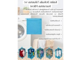 Resim Die Grup Fermuarlı Koruma ile Çamaşır Yıkama Filesi, Hassas Kıyafetler Için Mesh Dokulu 