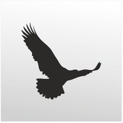 Resim Folyo Sticker Kartal 80cm Uzunluk Siyah 