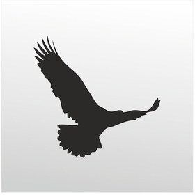 Resim Folyo Sticker Kartal 80cm Uzunluk Siyah 
