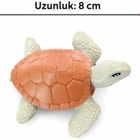 Resim 2 Li Kaplumbağa Caretta Caretta Dekor Biblo Deniz Kaplumbağası 