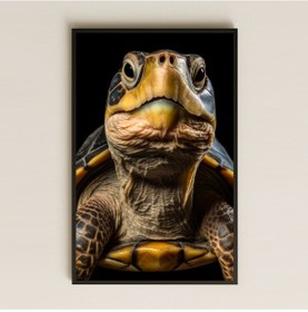 Resim Detaylı Kaplumbağa Portresi Şeffaf Pleksi Tablo 